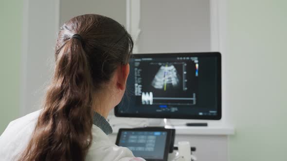 Female Radiographer Observes Waveforms on Diagnostic Scan Monitor ...