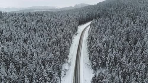 Winter Mountain Road Surrounded By Snowy Trees Aerial View