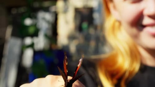 Butterfly lands on a happy girl's finger sits on palm camera chasing butterfly first point view pov