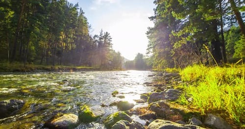 UHD Mountain River Timelapse at the Summer or Autumn Time Wild Nature Clear Water and Rural
