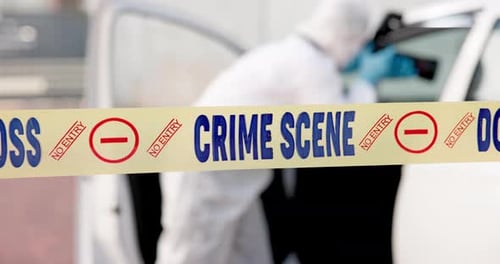 Car, crime scene and forensic photographer with camera for evidence in court