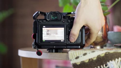 Adjusting camera settings for the perfect shot -close up