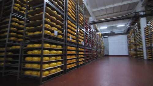 Cheese Factory Panoramic Storage View