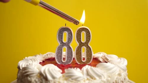 88. A candle in the form of the number 88, inserted into the holiday cake, is lit. Celebrating a bir