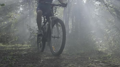 A Man on a Bicycle in the Forest Closeup of the Wheels Morning Forest