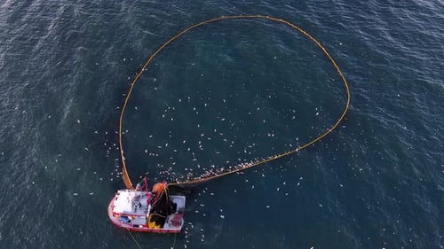 Fishing Ship And Birds Flying Around It
