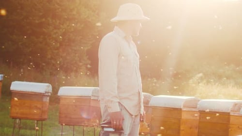 Portrait of Professional Beekeeper in Special Uniform Looking at Camera and Smiling Apiary Honey