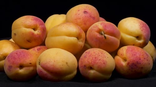 Heap of Fresh Apricots on Black Background