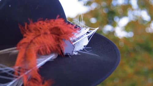 close up of old fashioned top hat with red and white fether on it