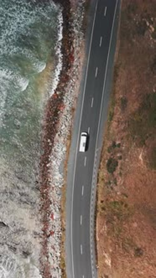 Van Driving Along Coastal Road In Molyneux Bay Region in New Zealand, Aerial Top Down View