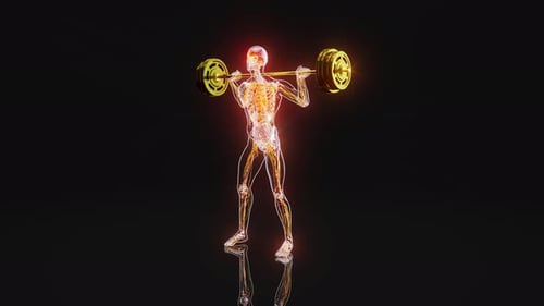 Glowing Human Anatomy Performs Barbell Squats 3D Render