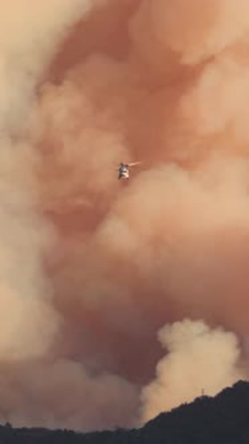 Brave Firefighters are Currently Combating a Fierce Wildfire in the Los Angeles Palisades Area