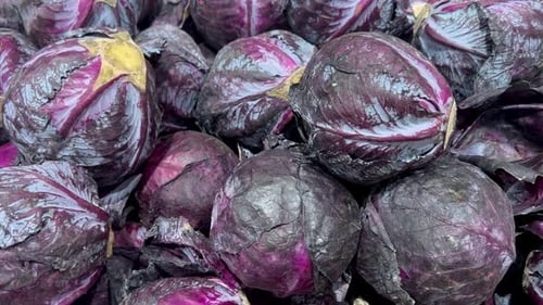 Pile of Fresh Red Cabbages in Close Up
