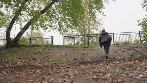 Walking Alone Among Fallen Leaves Individual Exploring Autumn Park Quietly Alone Solitary Person in