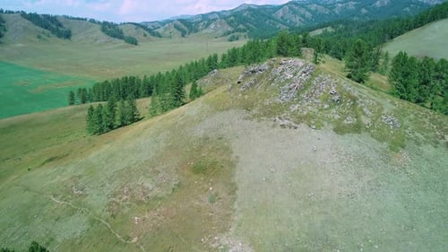 Aerial View of Green Hills with Trees in Highlads of Altai Region Russia Beautiful Summer Landscape