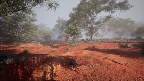 Serene Red Earth Landscape with Green Eucalyptus Trees