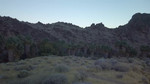Gimbal panning shot of the Andreas Canyon desert oasis during sunset at Palm Canyon in Southern Cali