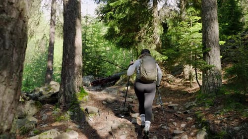 Young Woman Hiking in Mountain Forest Summer Female Hiker Walks on Rocky Trail with Backpack Girl