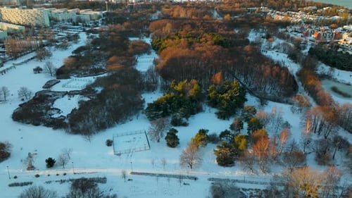 Aerial view of a snowy park at dusk with warm sunlight kissing treetops