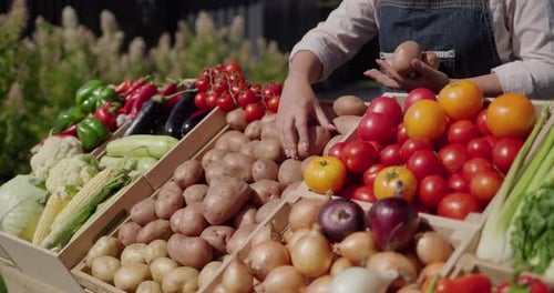 Farmer's Hands Placing Potatoes on Farmer's Market Counter