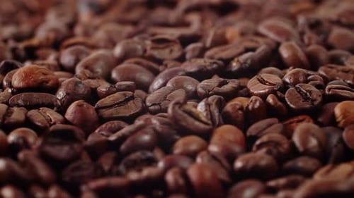 Roasted Coffee Beans Rotate Coffee Beans Background Coffee Beans Background