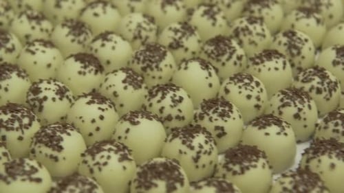 Delicious Array of Chocolate Truffles