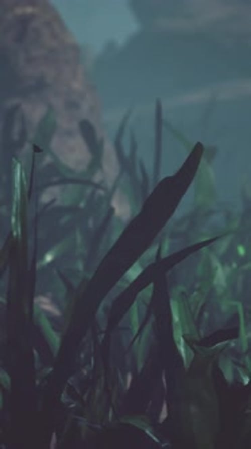 Beautifiul Underwater Panoramic View with Tropical Coral Reefs
