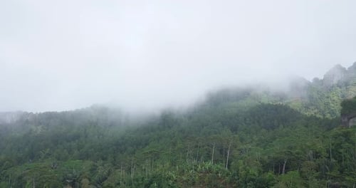 Drone footage of the hill covered by mist. Hills overgrown with dense trees of rain forest with clou