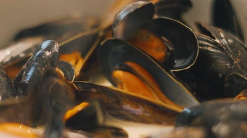 Close Up of Open Mussels in Broth