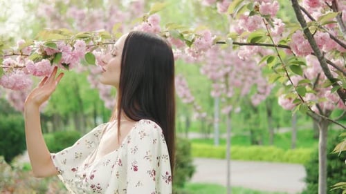 Woman Touches Pink Blossoms in Springtime Park