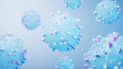 Lymphocytes and biological immune system