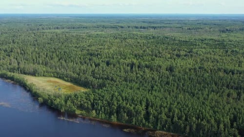 Aerial View on Summer Forest and Lake