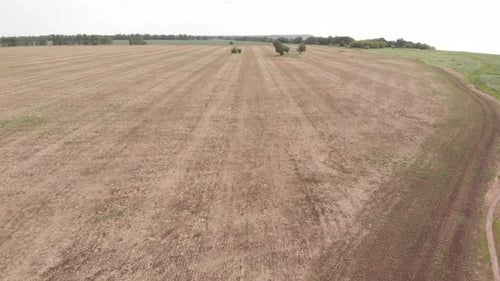 Field