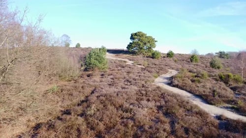 Slow drone shot of path through nature.