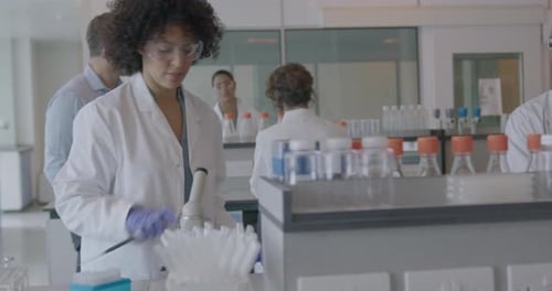 Scientists Working Together in Modern Research Laboratory