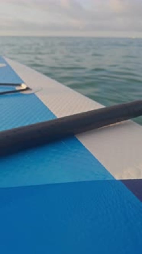 Stand Up Paddle in the Sea at Dawn in Vertical