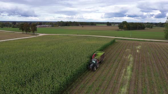 Biomass production with tractor using forage harvester chopping corn ...