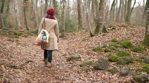 Back view of woman walking alone in beech wood in winter. Slow-motion