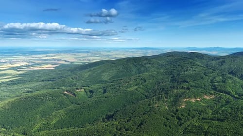 Summer hills in scenic view. Lush green hills stretch across the landscape
