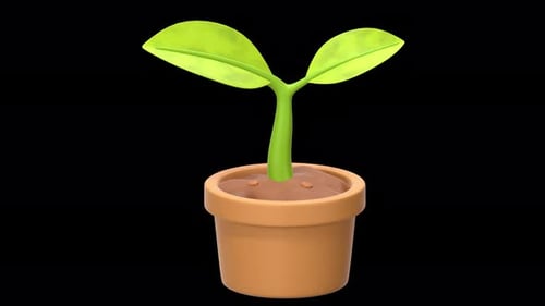 plant pot 3D Animation, Alpha Channel, Transparent Background