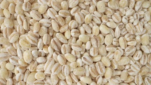 Barley seeds without hulls