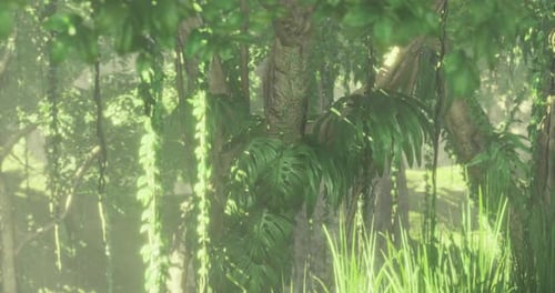 Lush Animated Jungle Forest Environment with Sunbeams