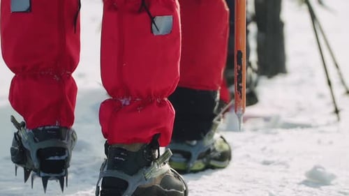 Nahaufnahme der Füße von Bergsteigern, die in Schneeschuhen auf dichtem Schnee laufen — das Team geht gemeinsam an einem