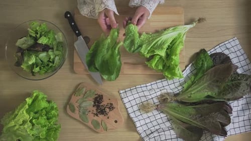 Cutting romaine lettuce green leaves on the home kitchen. Vegetarian salad with greens