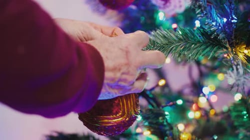 Woman hands hang a Christmas bauble on a tree branch