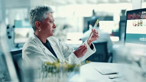 Science, lab and mature woman with plant sample in test tube for medical research