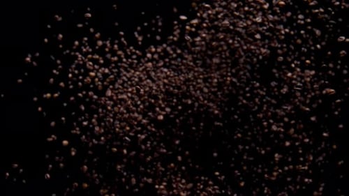 Super slow motion roasted coffee beans exploding and falling on black background