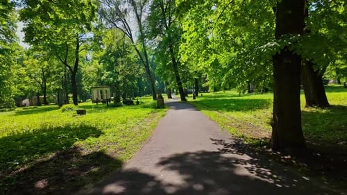 Drone overviews a green urban European city park under sunny daylight Pan left