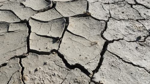 Cracked Dry Earth on a Sunny Day
