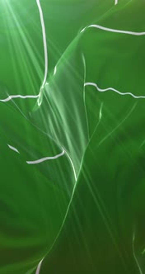 Abstract Green Wavy Fabric Loop Motion Background